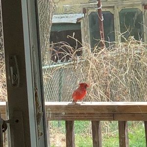 Meet your Posher, Jenni